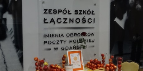 Powiększ grafikę: dzien-tumbo-w-zespole-szkol-lacznosci-w-gdansku-657321.jpg