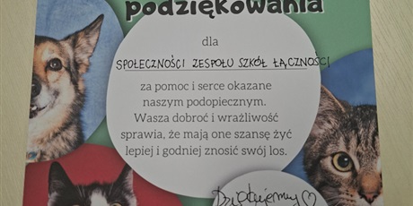 Wolontariat - zbiórka dla schroniska "Promyk".
