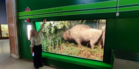 Powiększ grafikę: Zakończenie mobilności w Mediolanie!